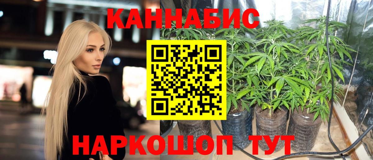 Шишки марихуана сатива Кинешма